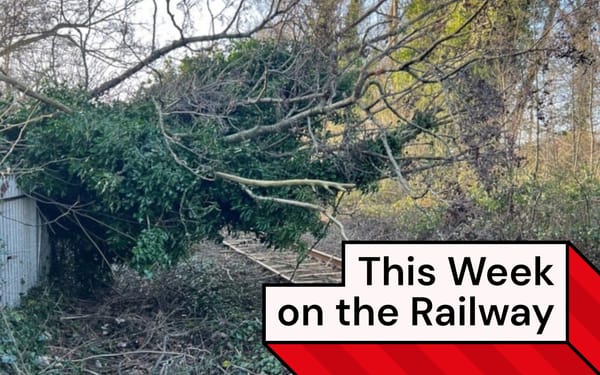 A tree has fallen on top of the only track on a single-track railway line.